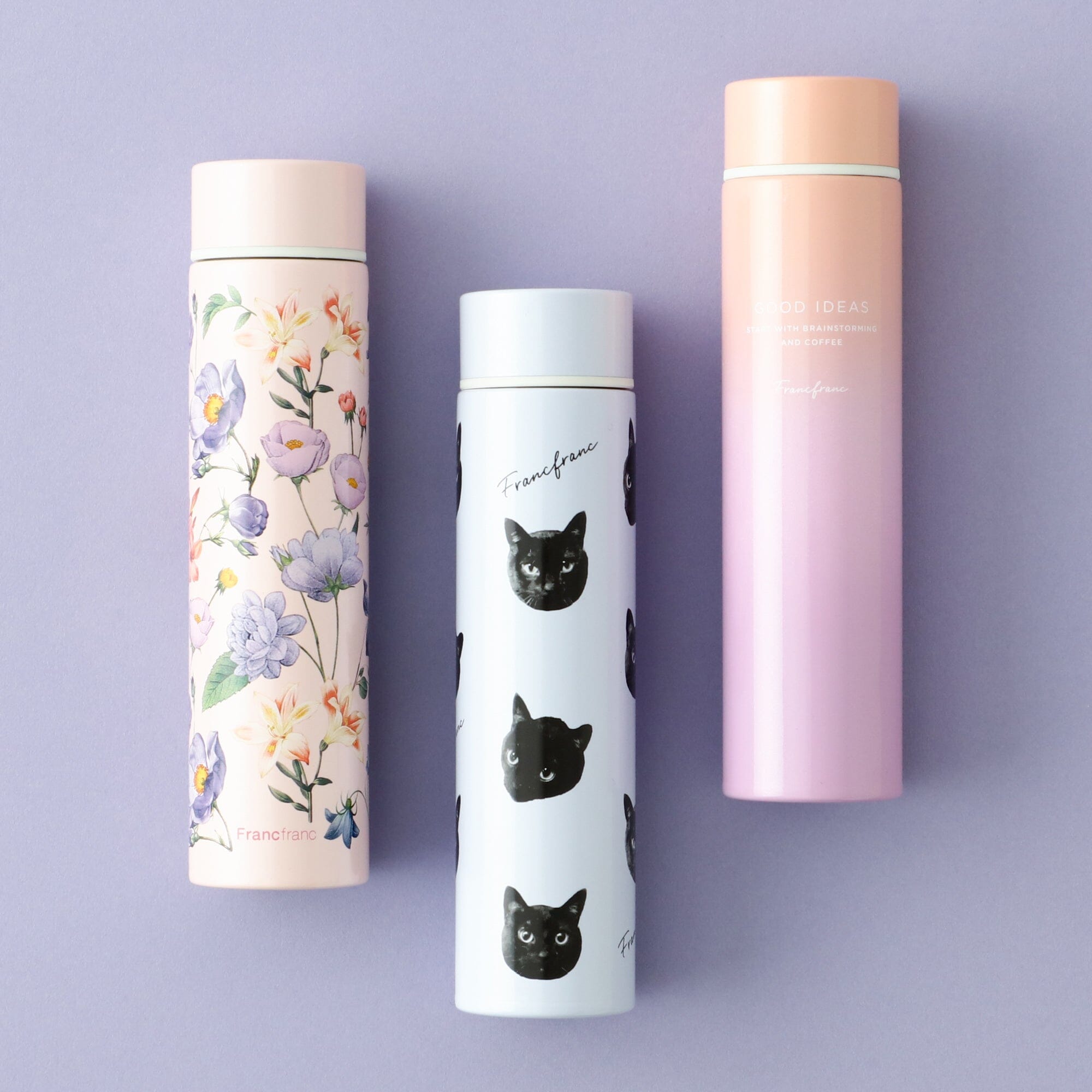 Bottles & Lunch Boxes