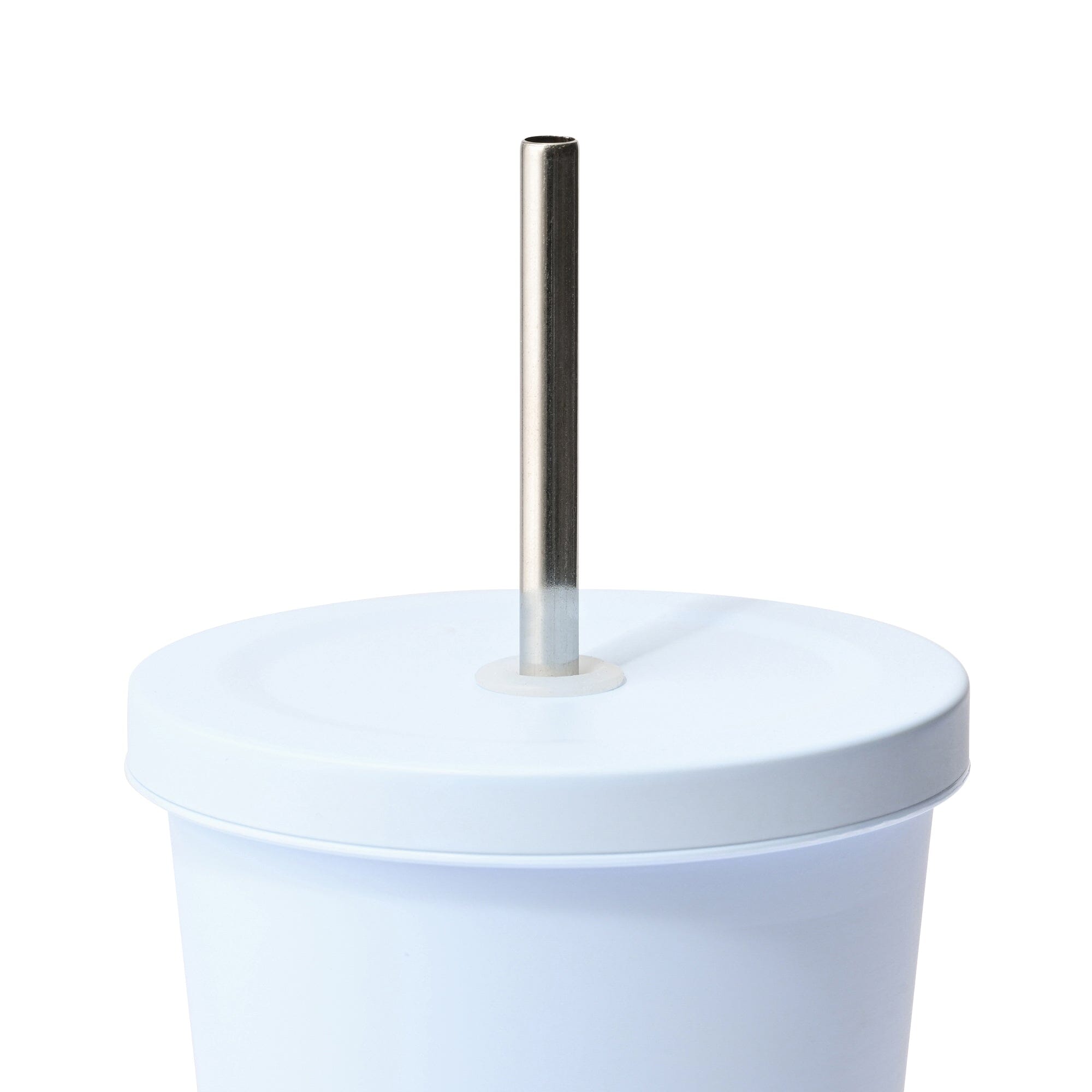 Stainless Steel Tumbler With Straw Blue