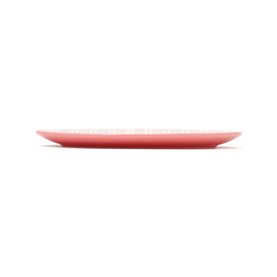 Iroiro Plates Oval Plate Multi-Stripe