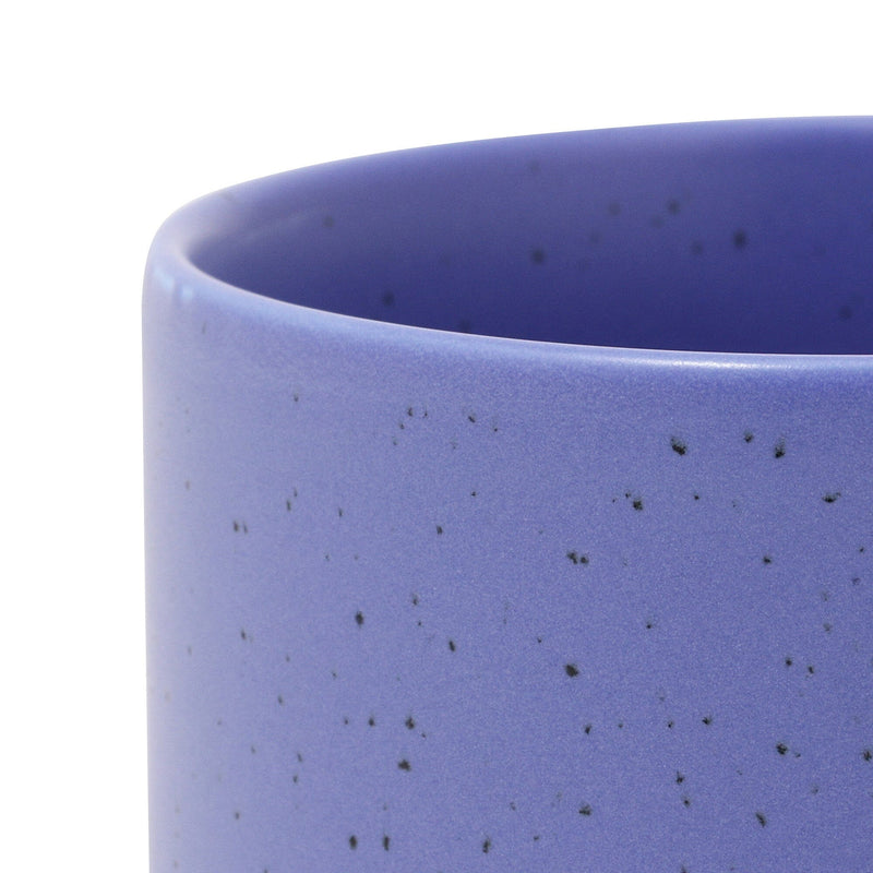 Splatter Dip Bowl Purple