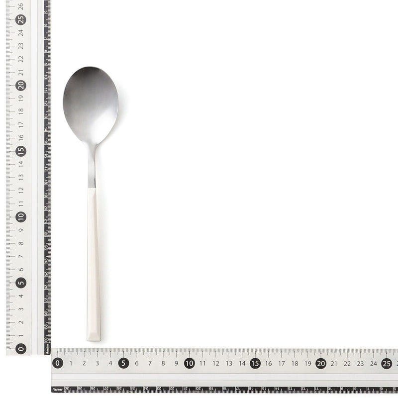 Color Handle Dinner Spoon White