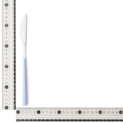 Color Handle Dinner Knife Blue