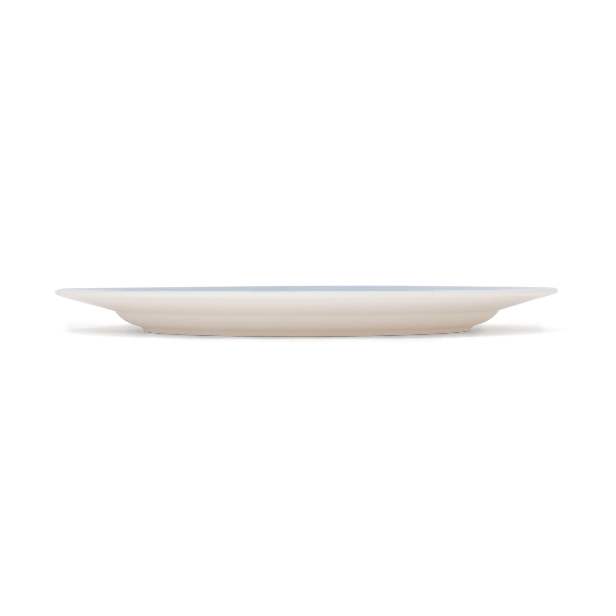 Healthy Plate Large Blue