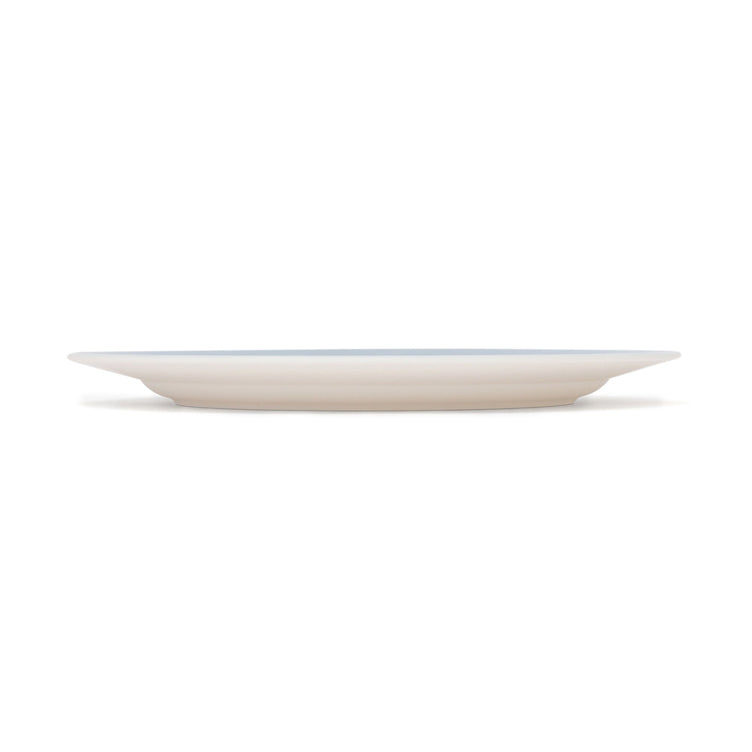 Healthy Plate Large Blue