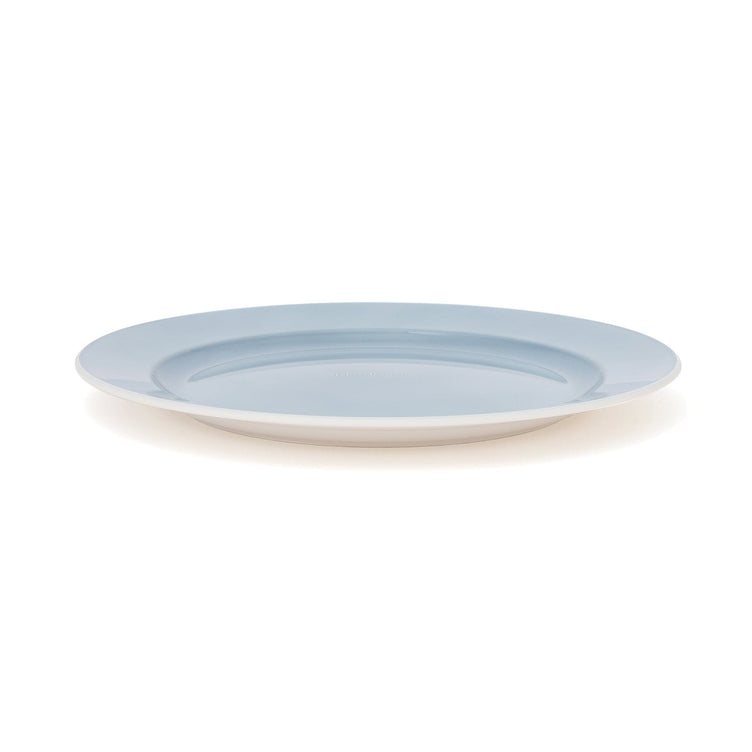 Healthy Plate Large Blue