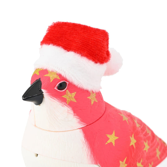 Music Bird Christmas Santa Red