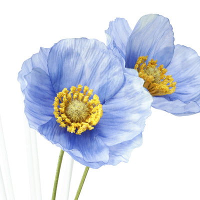 Fleurir Fragrance Diffuser  Blue (Refreshing Citrus And Floral Scent)