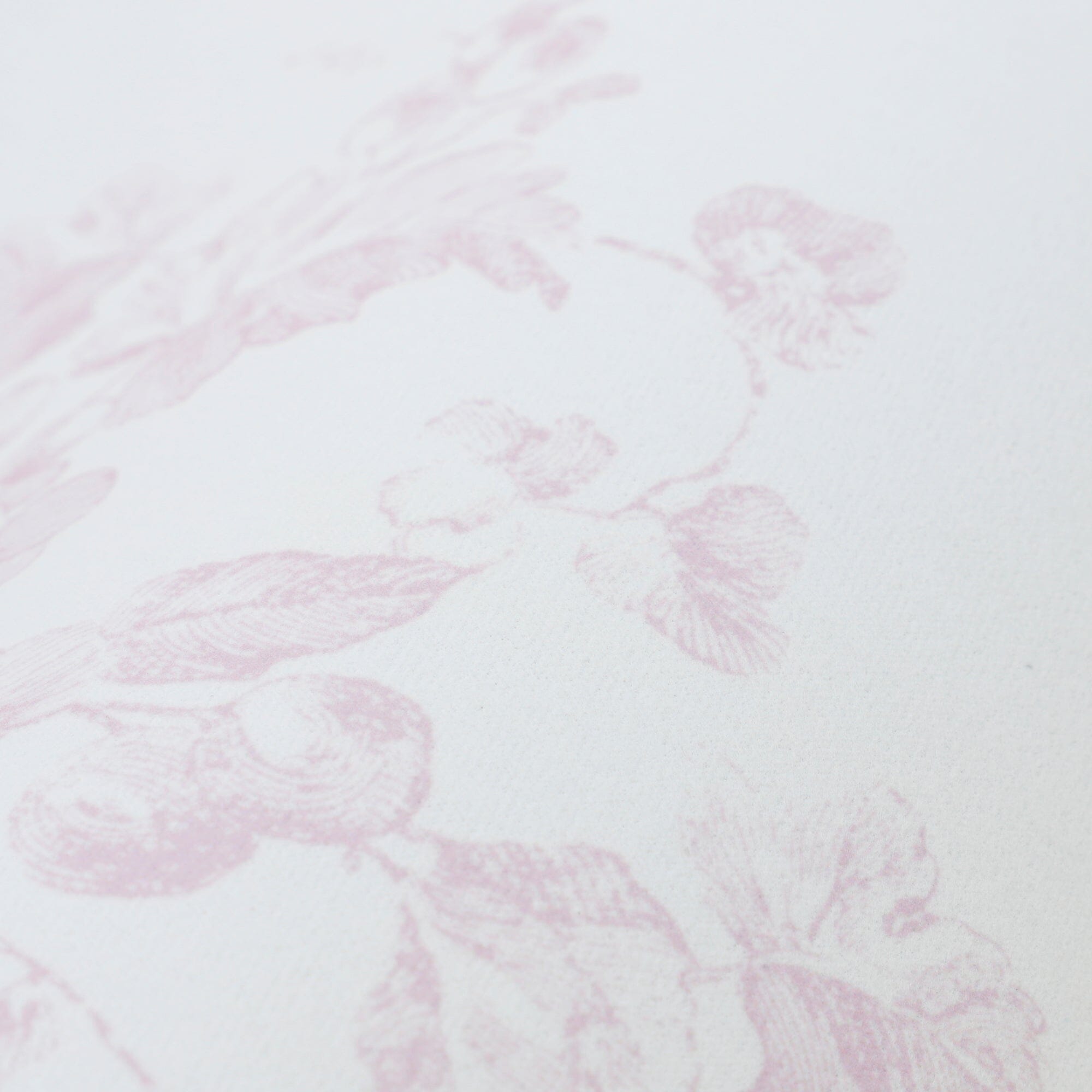 Soft Bath Mat with Diatomaceous Earth Semicircular Classic Flower Pink