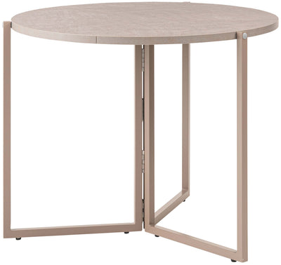 Furniture & Rug