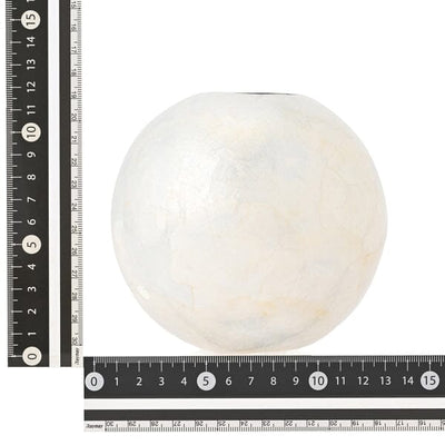 Shell Flower Vase 2 Small White