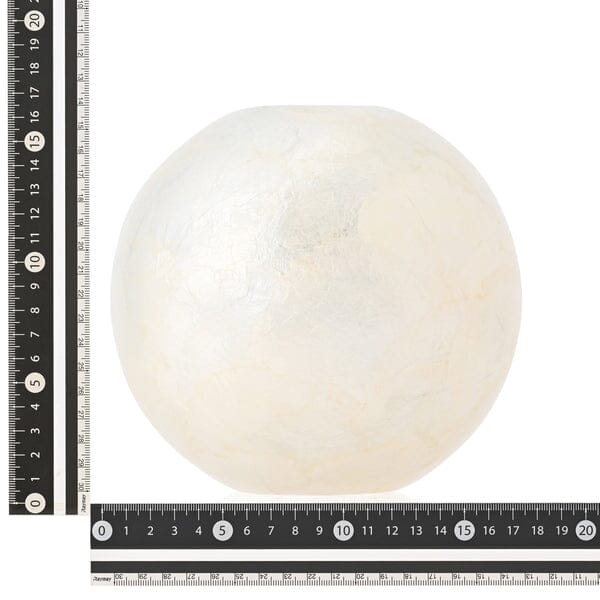 Shell Flower Vase 2 Medium White