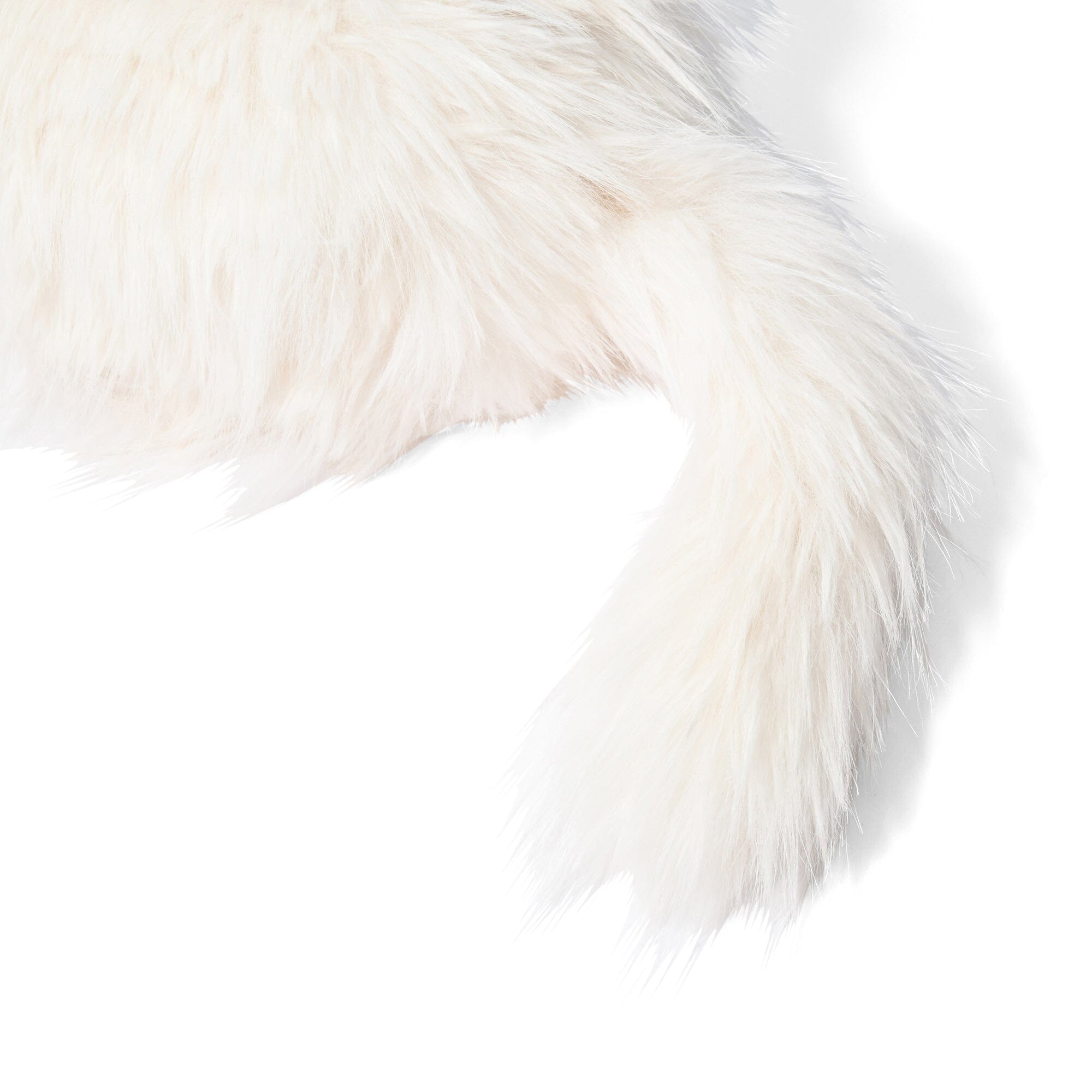 Cat Mof Tissue Case White