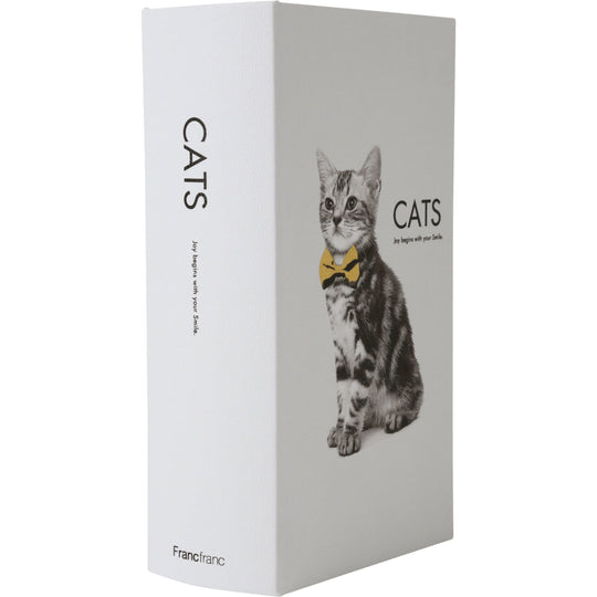 Kulicia Tissue Box Cat