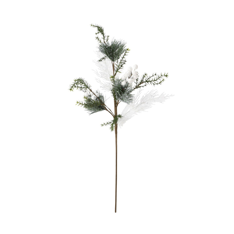 Art Plants Firetree Arrange Silver