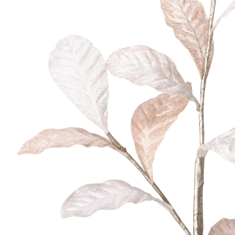 Art Plants Velvet Leaf Ivory