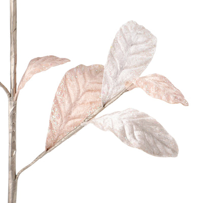 Art Plants Velvet Leaf Ivory