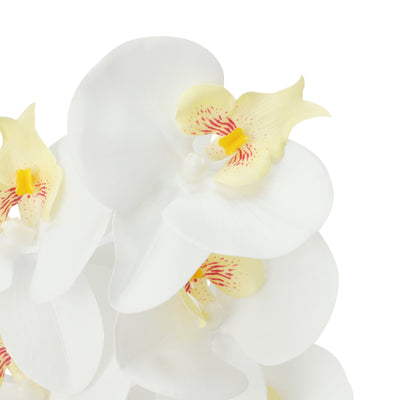 Art Flower Real Touch Phalaenopsis White