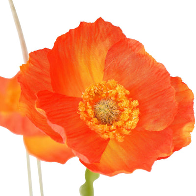 Art Flower Poppy S Red