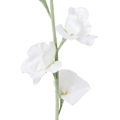 Art Flower Sweetpea  White