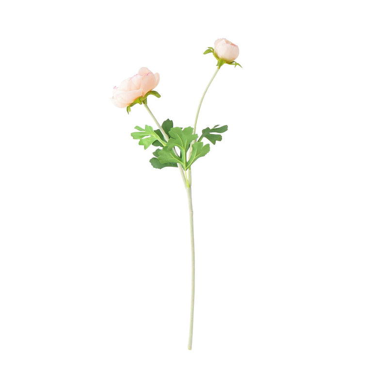 Art Flower Ranunculus L Pink