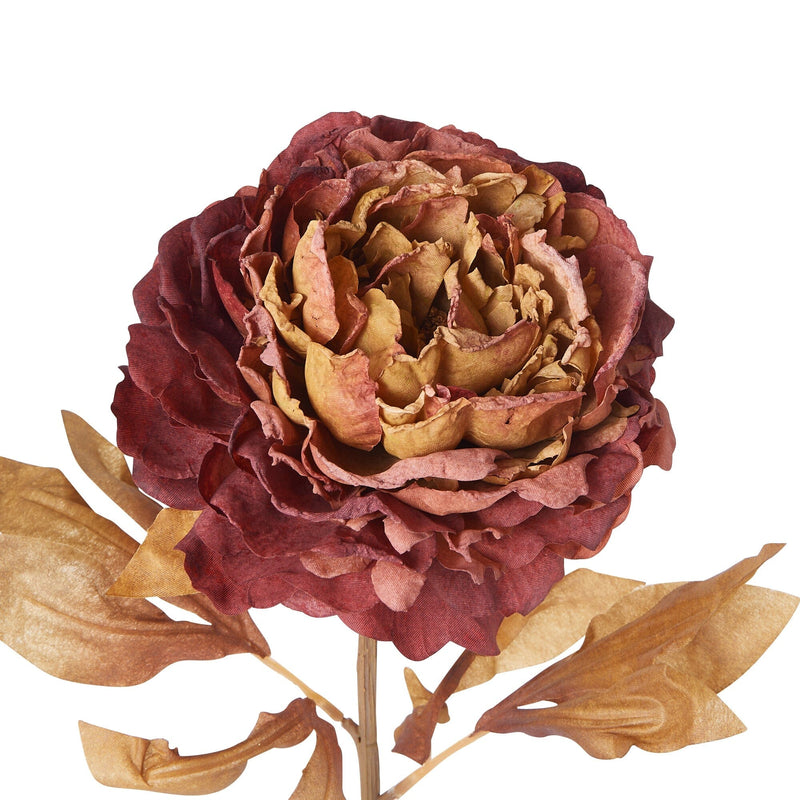 Art Flower Antique Peony Red