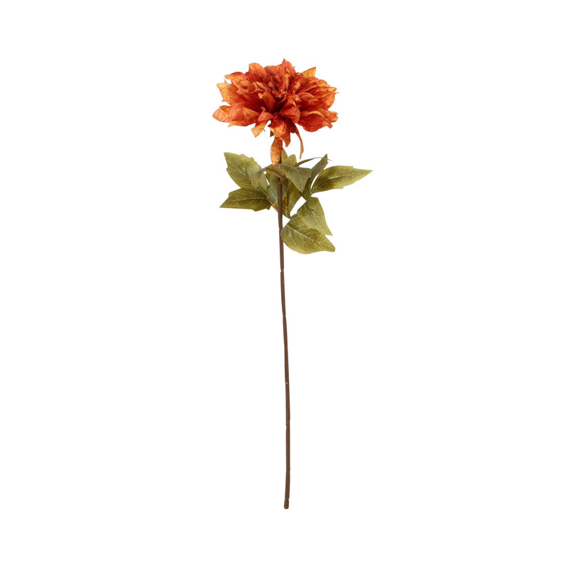 Art Flower Antique Daisy Orange