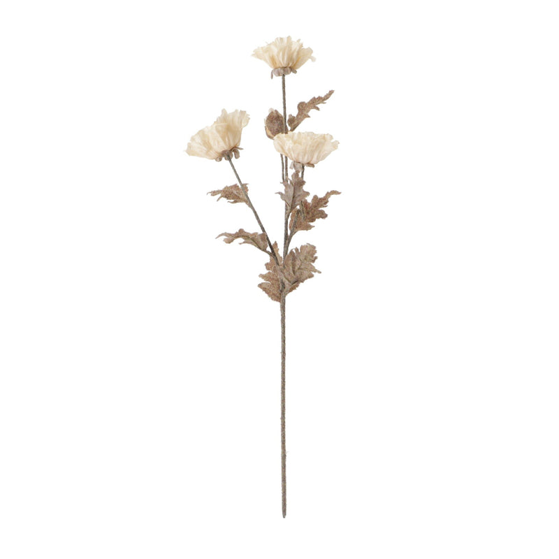 Art Flower Antique Poppy White