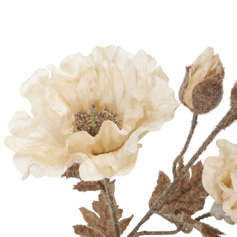 Art Flower Antique Poppy White