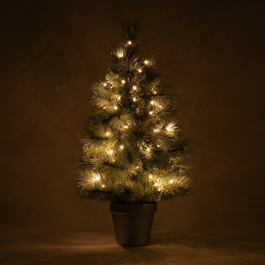 LED 50 XMAS TREE 80 Aurora Light Green