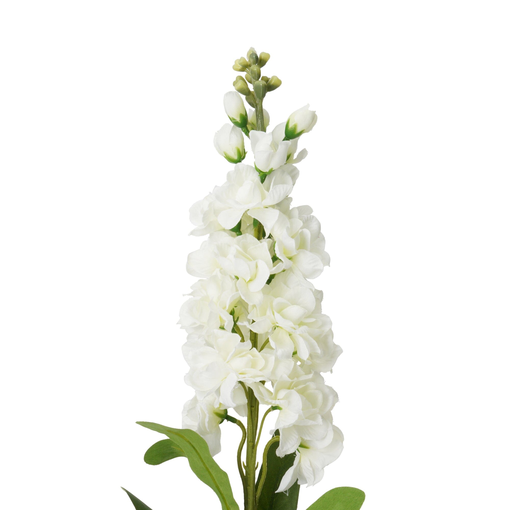 Art Flower Stock White