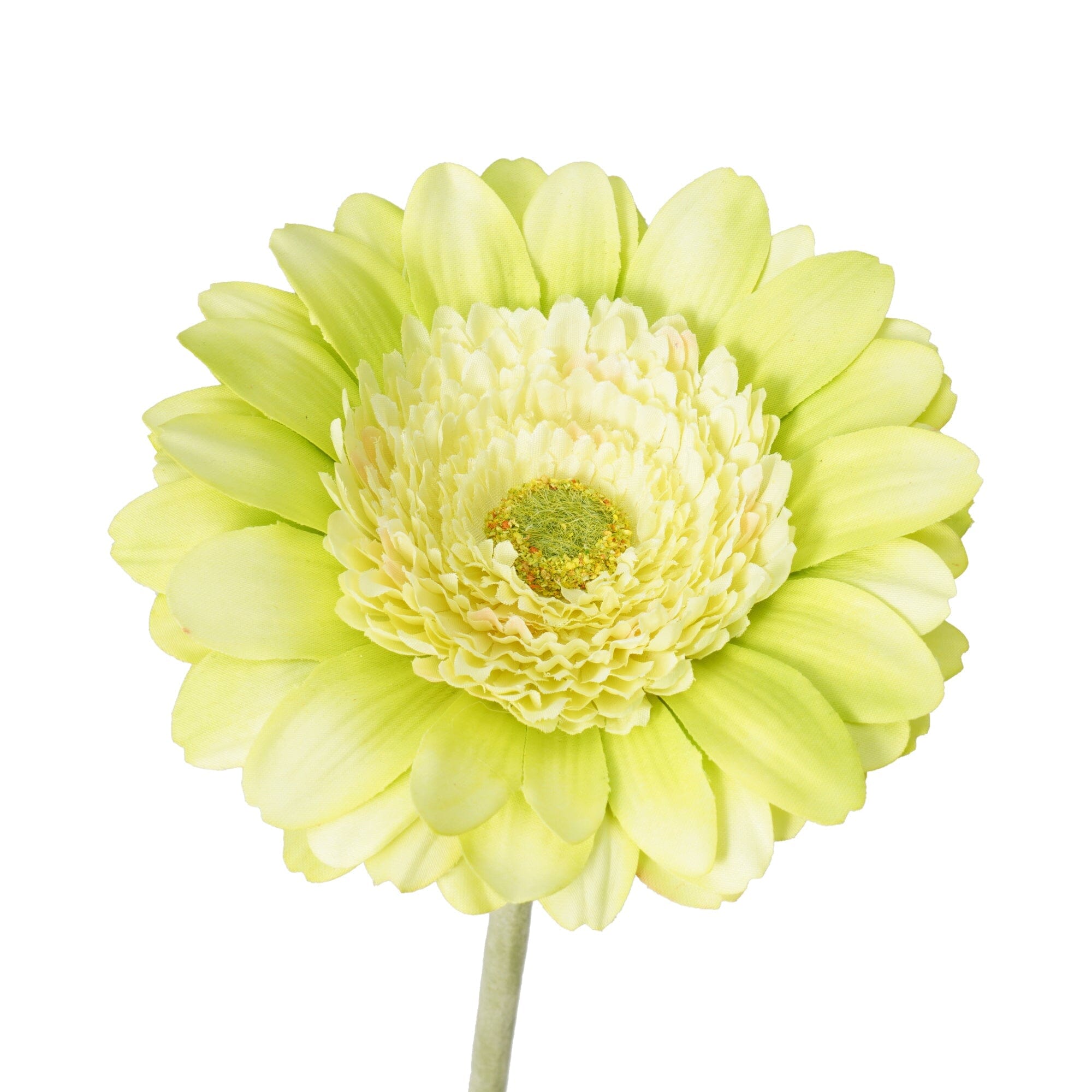 仿真花非洲菊 大 淺綠色