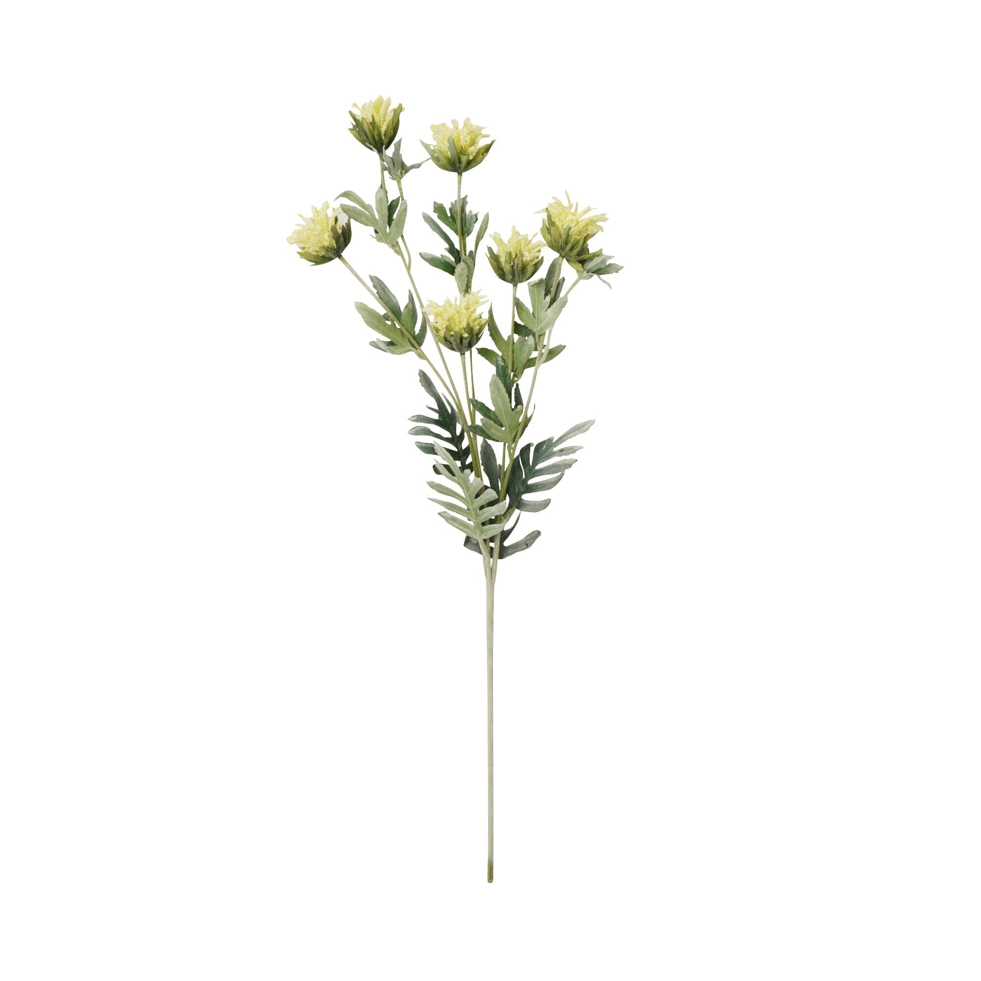 Art Flower Thistle Light Yellow