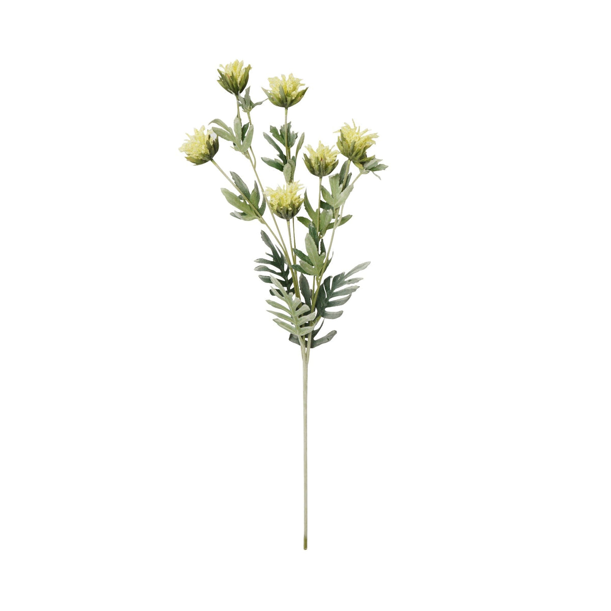 Art Flower Thistle Light Yellow