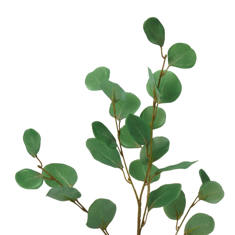 Art Green Polyanthemum Eucalyptus Green