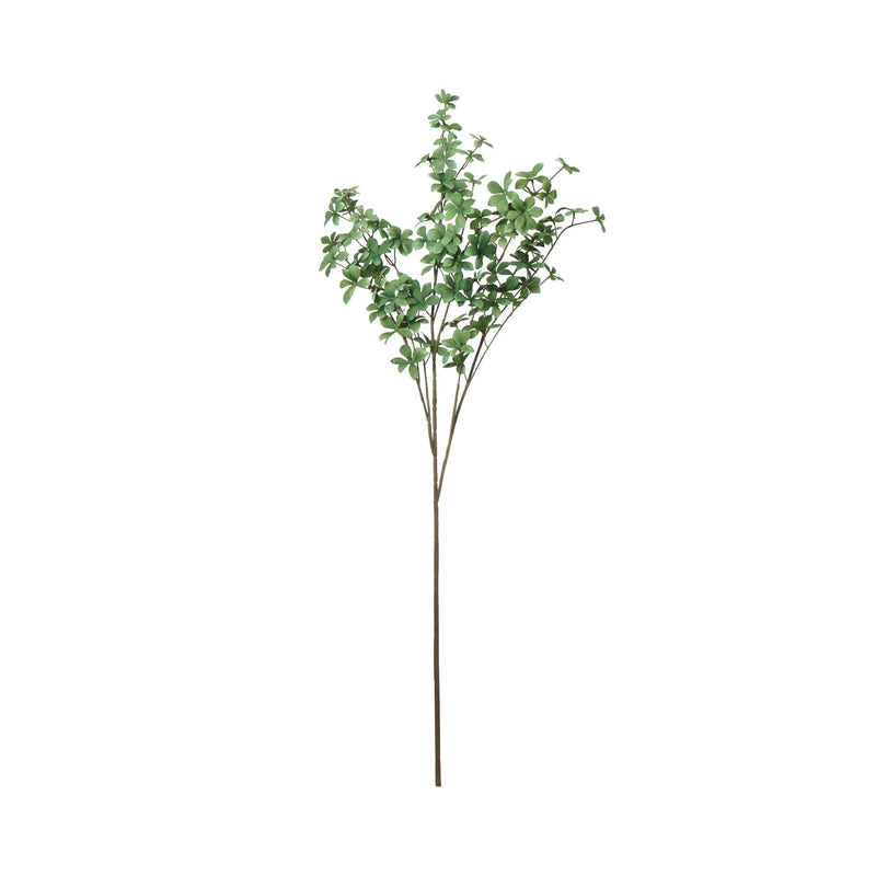 Art Green Enkianthus Campanulatus Green