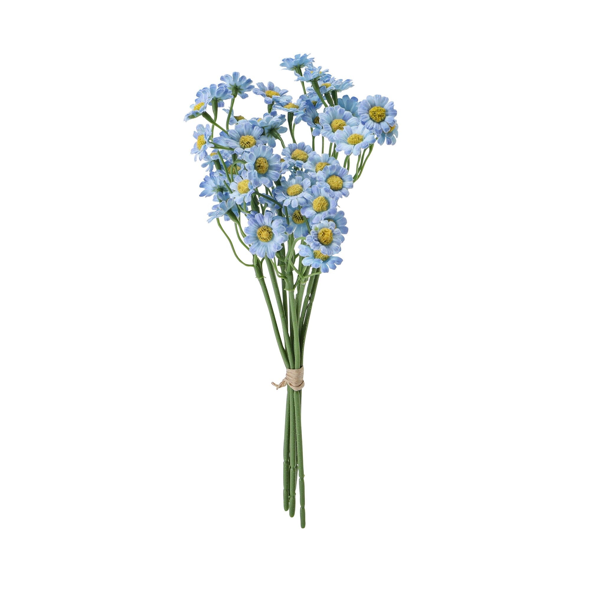 Art Flower Petit Daisy Bundle Light Blue