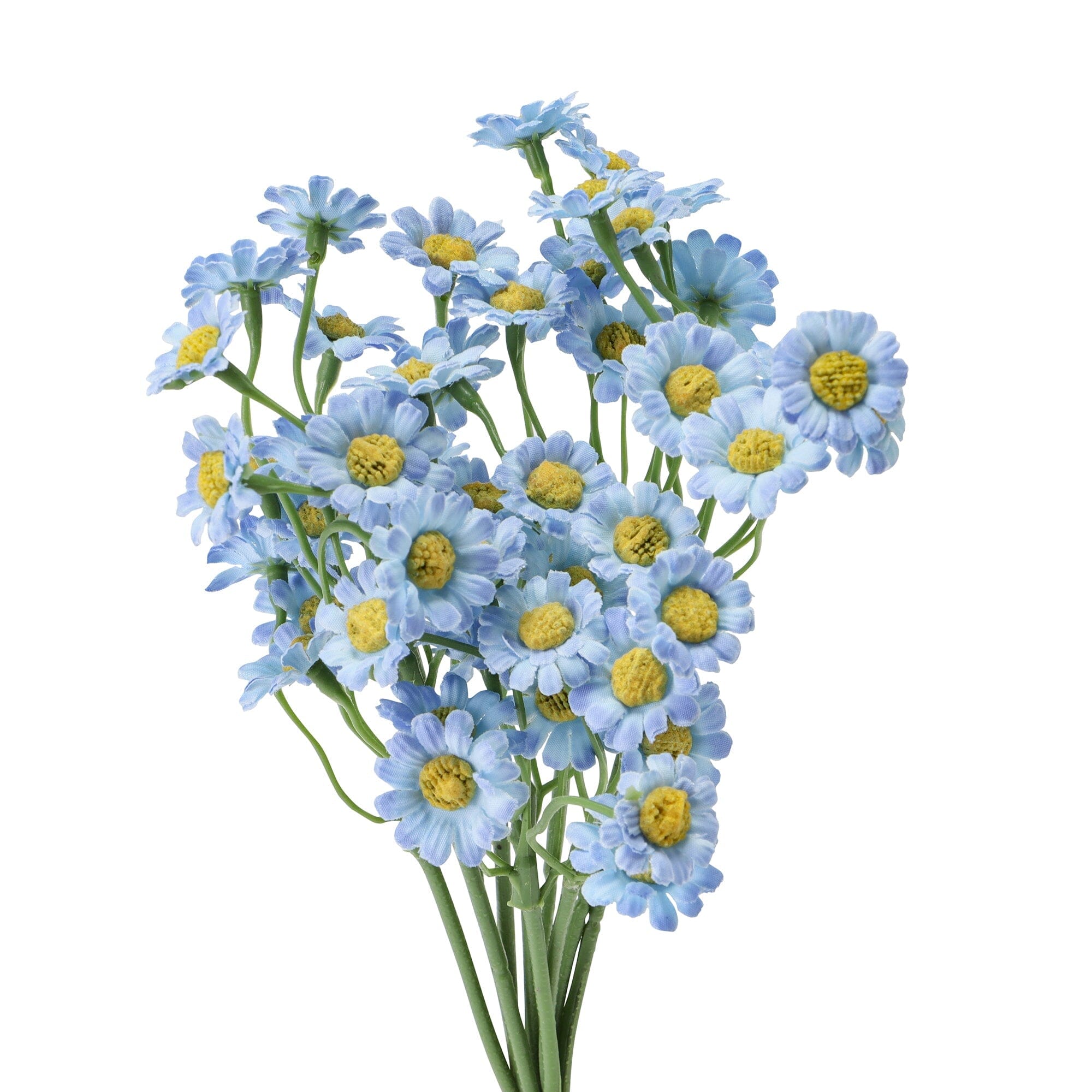 Art Flower Petit Daisy Bundle Light Blue