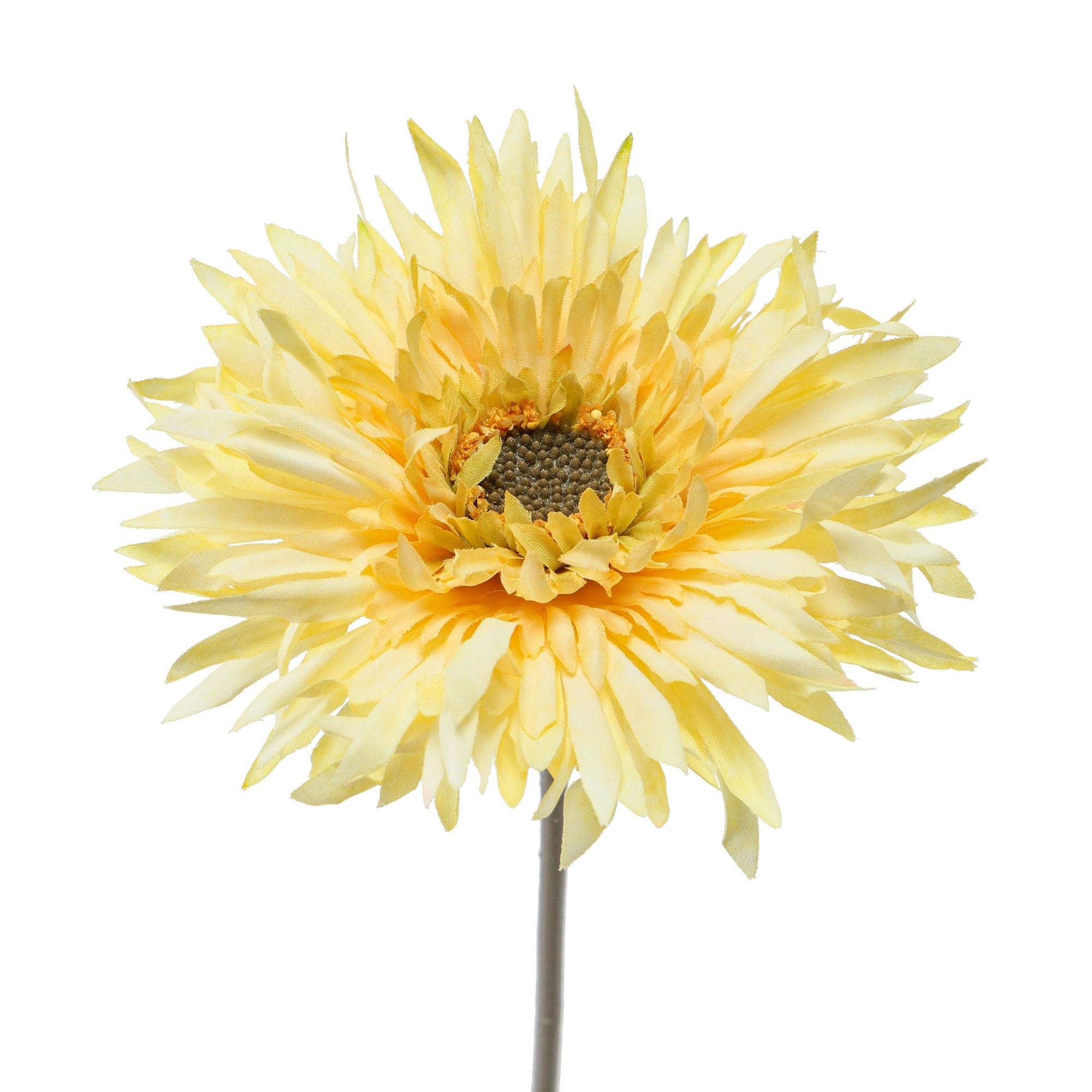 Art Flower Natural Gerbera Light Yellow