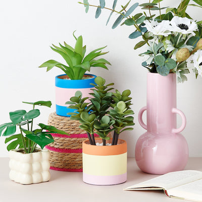 Art Green & Pot Monstera