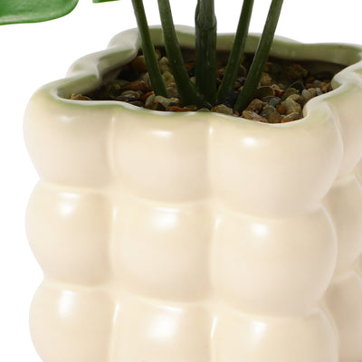 Art Green & Pot Monstera