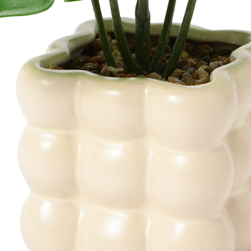 Art Green & Pot Monstera