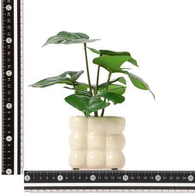 Art Green & Pot Monstera