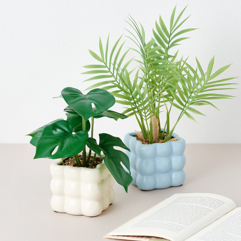 Art Green & Pot Palm