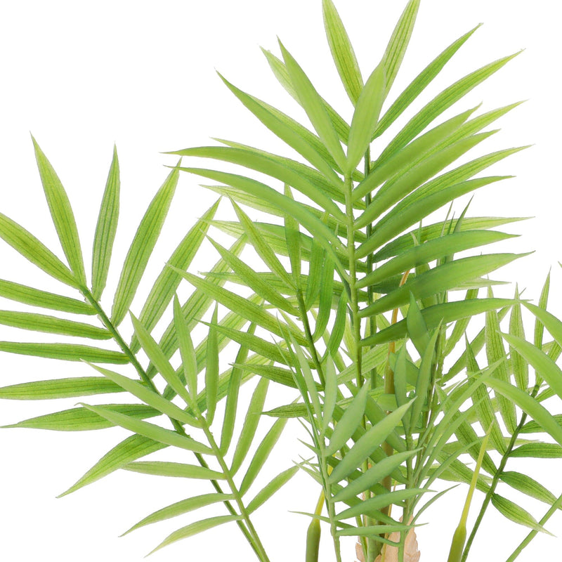 Art Green & Pot Palm