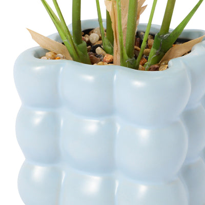 Art Green & Pot Palm