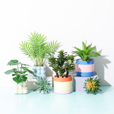 Art Green & Pot Succulents