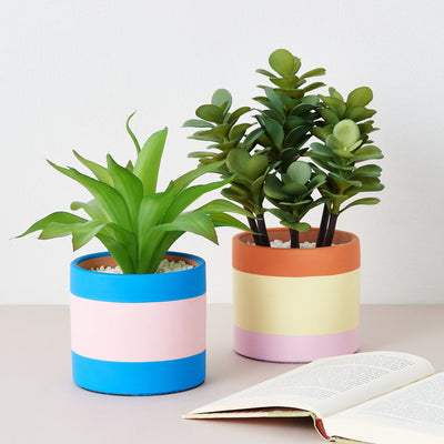 Art Green & Pot Succulents