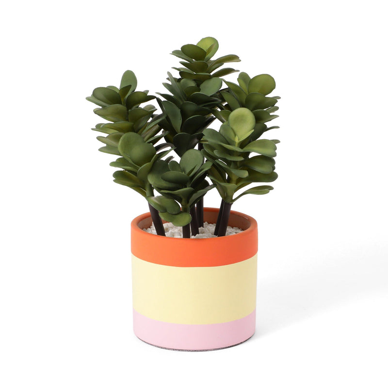 Art Green & Pot Succulents