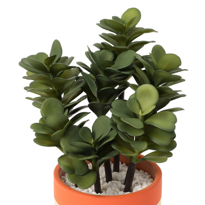 Art Green & Pot Succulents