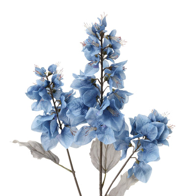 Art Flower Bougainvillea Navy
